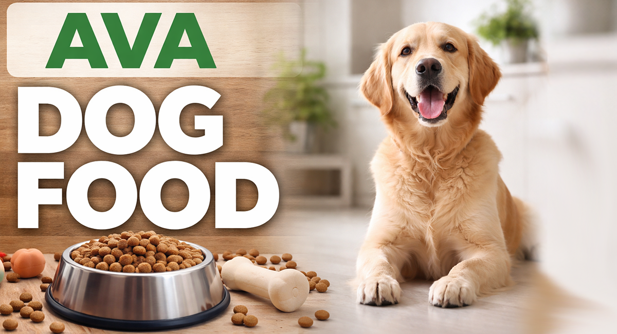 Ava Dog Food Review