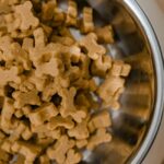 Best Adult Dog Food UK