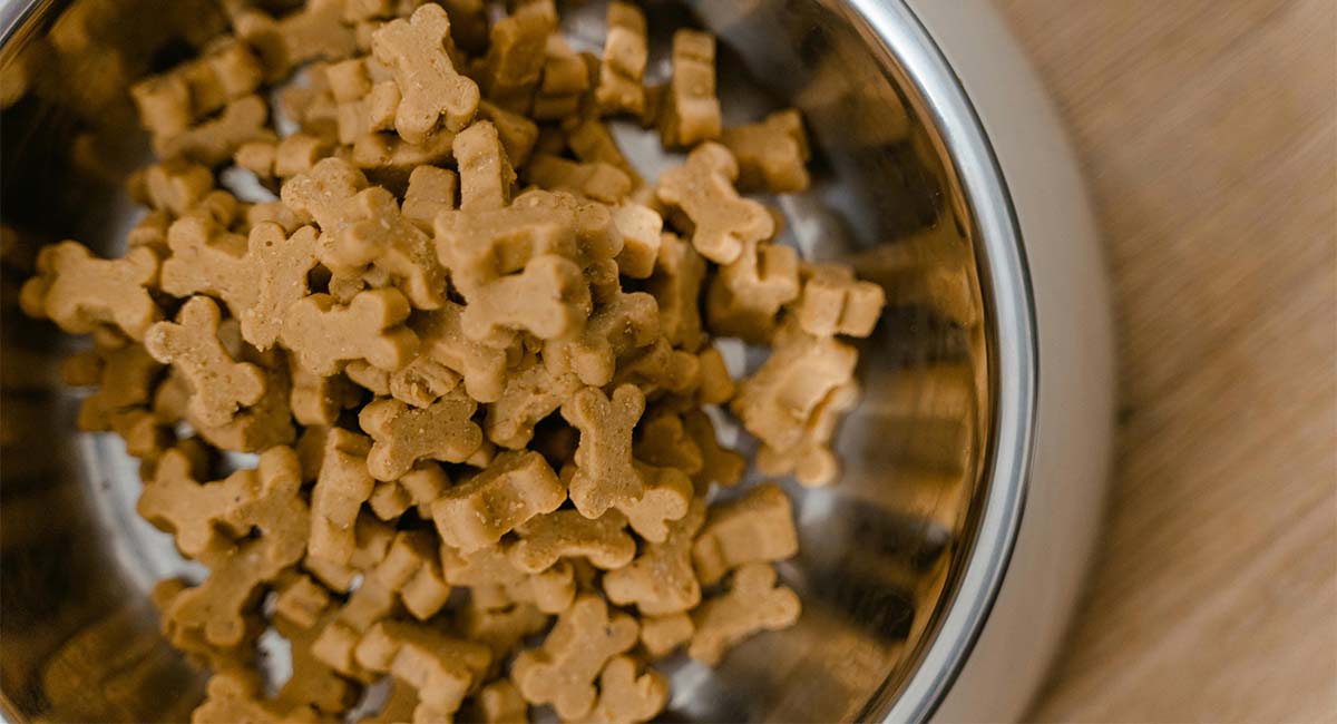 Best Adult Dog Food UK