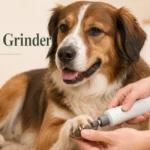 dog nail grinder