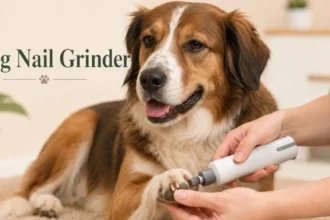 dog nail grinder