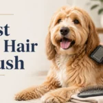 best dog hair brush uk