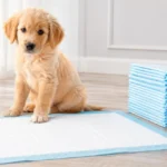 puppy training pads
