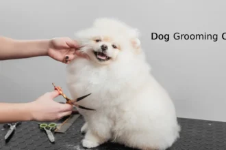 dog grooming cost in the uk 2026