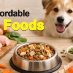 Affordable Dog Foods