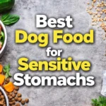 Best Dog Food for Sensitive Stomachs