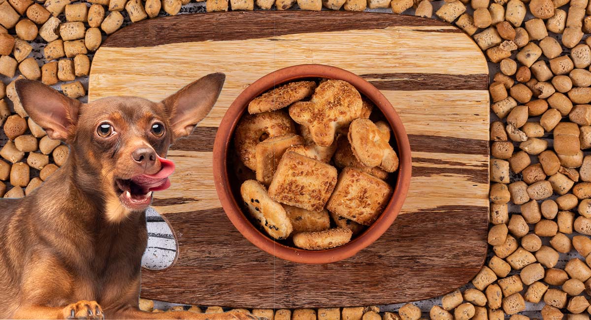 Best Grain Free Dog Foods On Amazon