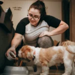 best puppy food uk 2026