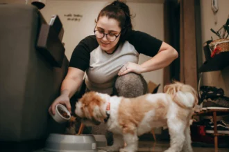 best puppy food uk 2026