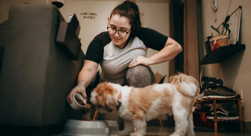 best puppy food uk 2026