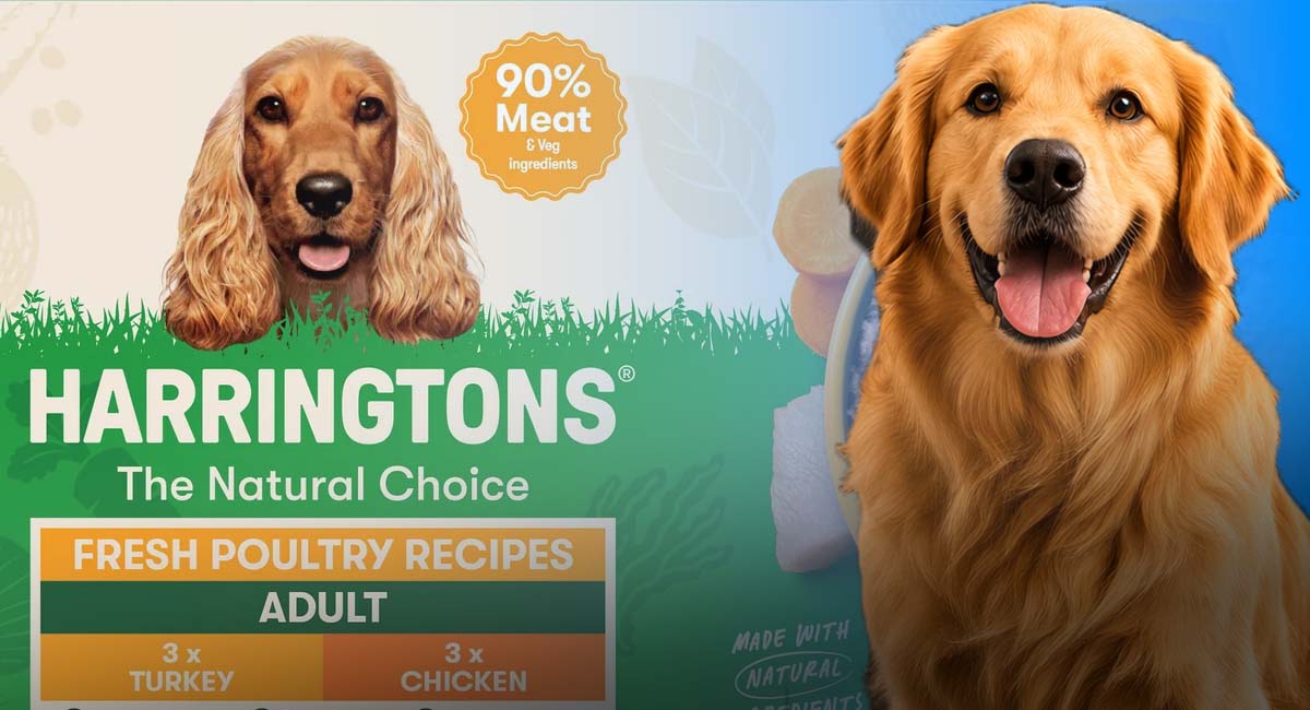 Harringtons Wet Tray Grain Free Hypoallergenic Adult Dog Food
