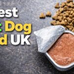 Best Wet dog food for your pet