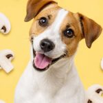 Happy dog with mushrooms in pattern