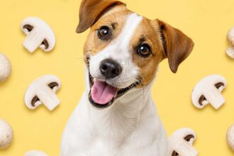 Happy dog with mushrooms in pattern
