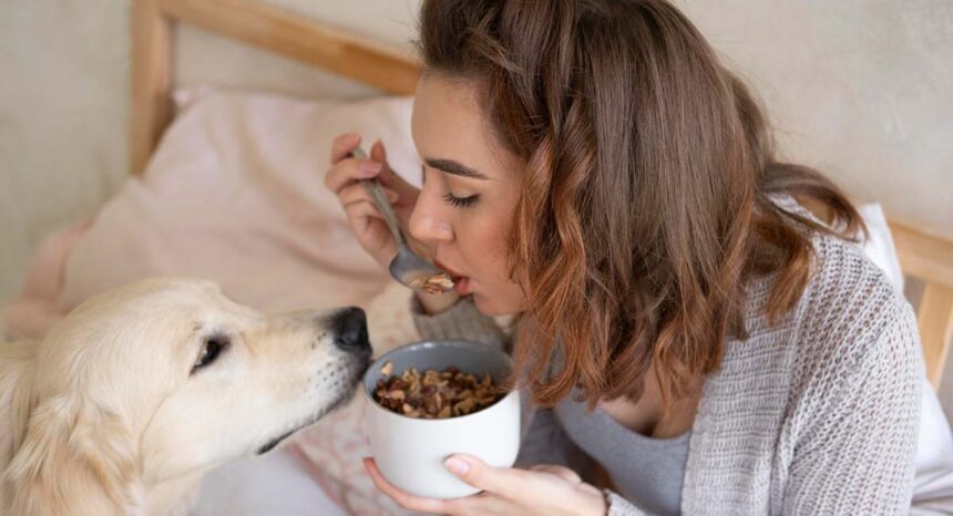 can humans eat dog food