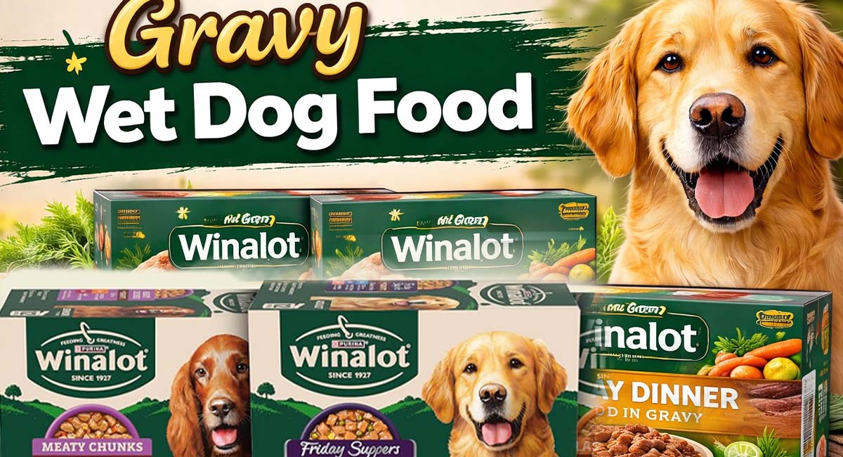 Gravy Wet Dog Food