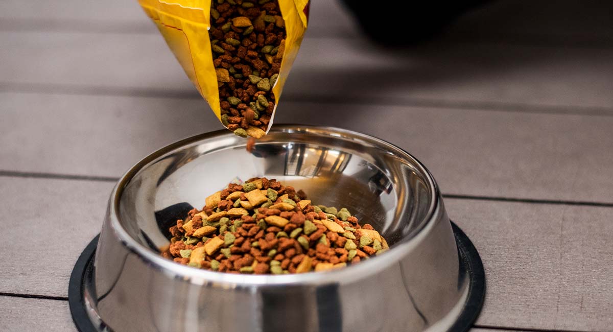 Dry Dog Food UK