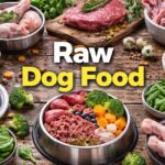 Fresh Ingredients For Raw Dog Food 150x150