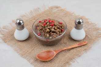 is homemade dog food better for dogs