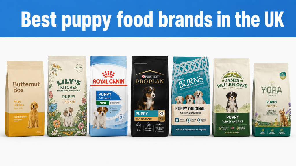 Best Puppy Food UK 2026 Best Puppy Food UK 2026: