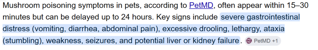 petmd