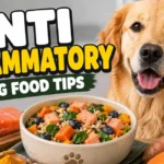anti inflammatory dog food recipe