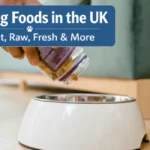 best dog food brands uk 2026