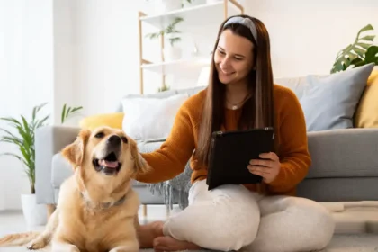 best protein packed dog foods available online in the uk