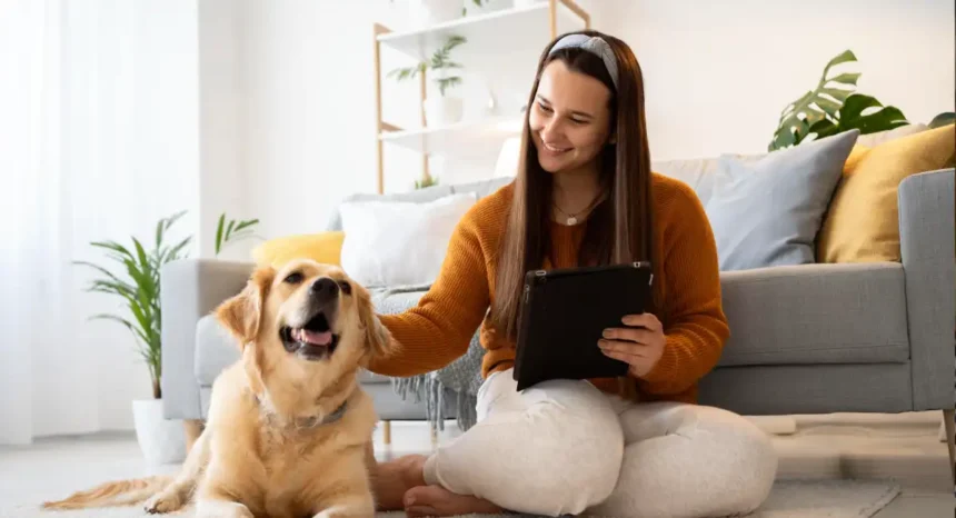 best protein packed dog foods available online in the uk