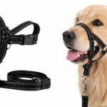dog harness and leash in use