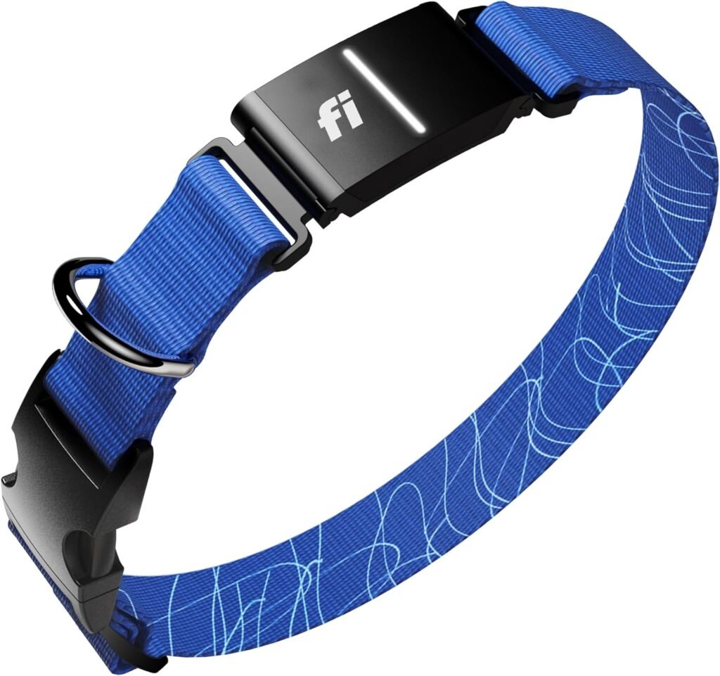 fi series 3+ international kit amazon 12m prepaid blue size large