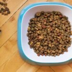 high protein dog food