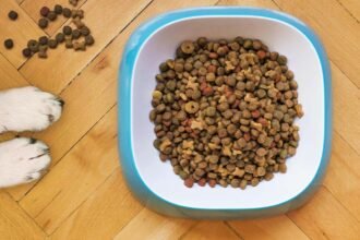 A bowl of high-protein freeze-dried dog food pellets for senior dogs