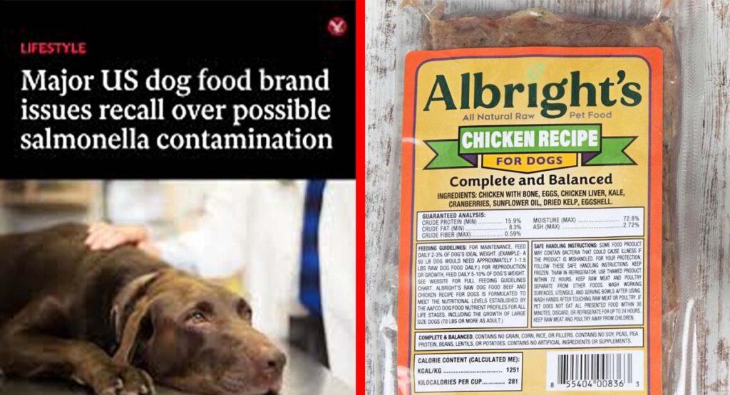 major us dog food brand issues recall over possible salmonella contamination