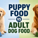 puppy food vs adult dog food