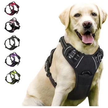 Best Dog Harness UK 2026 s309991a40dd04640a1084c86e1a73d37f.jpg 350x350