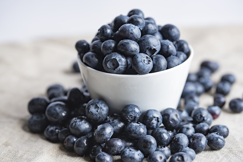 Anti Inflammatory Dog Food Recipe: 25+ Vet-Informed Homemade Meals for UK Dogs Blueberries as anti-inflammatory superfood ingredient for dogs