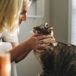 featured dog vet.jpg