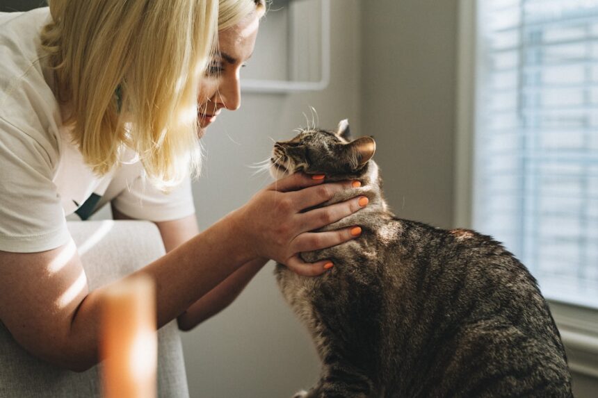 featured dog vet.jpg