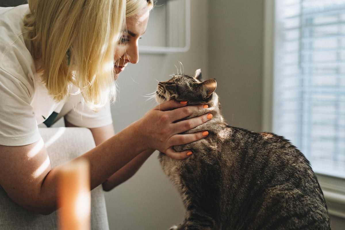 Veterinarian examining a dog for skin rash and health issues