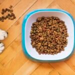featured dry dog food.jpg