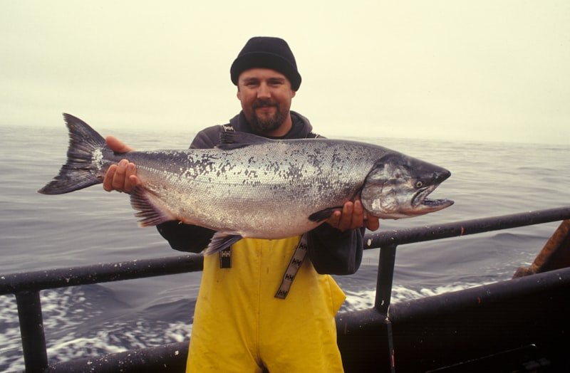 featured omega3 salmon fish.jpg
