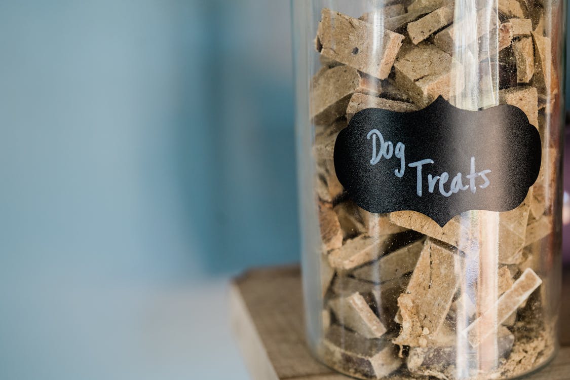 Dog food stored in an airtight glass container to keep budget kibble fresh for longer
