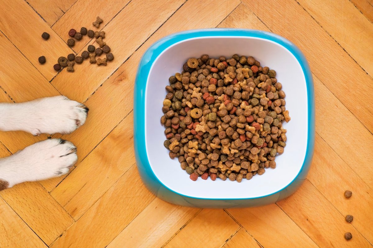 Healthy homemade balanced complete dog food recipes for UK dogs