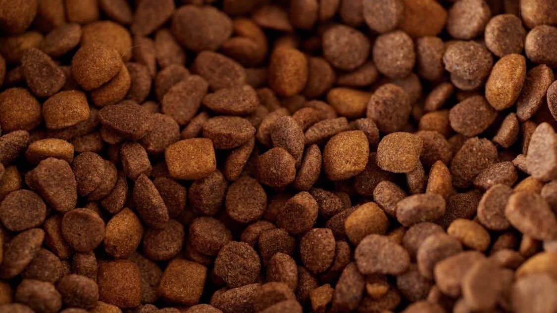 Best Dog Food UK 2026 image