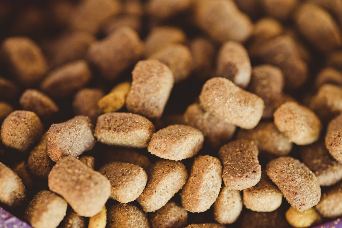 Close-up of dry dog food ingredients showing kibble texture for budget buyers