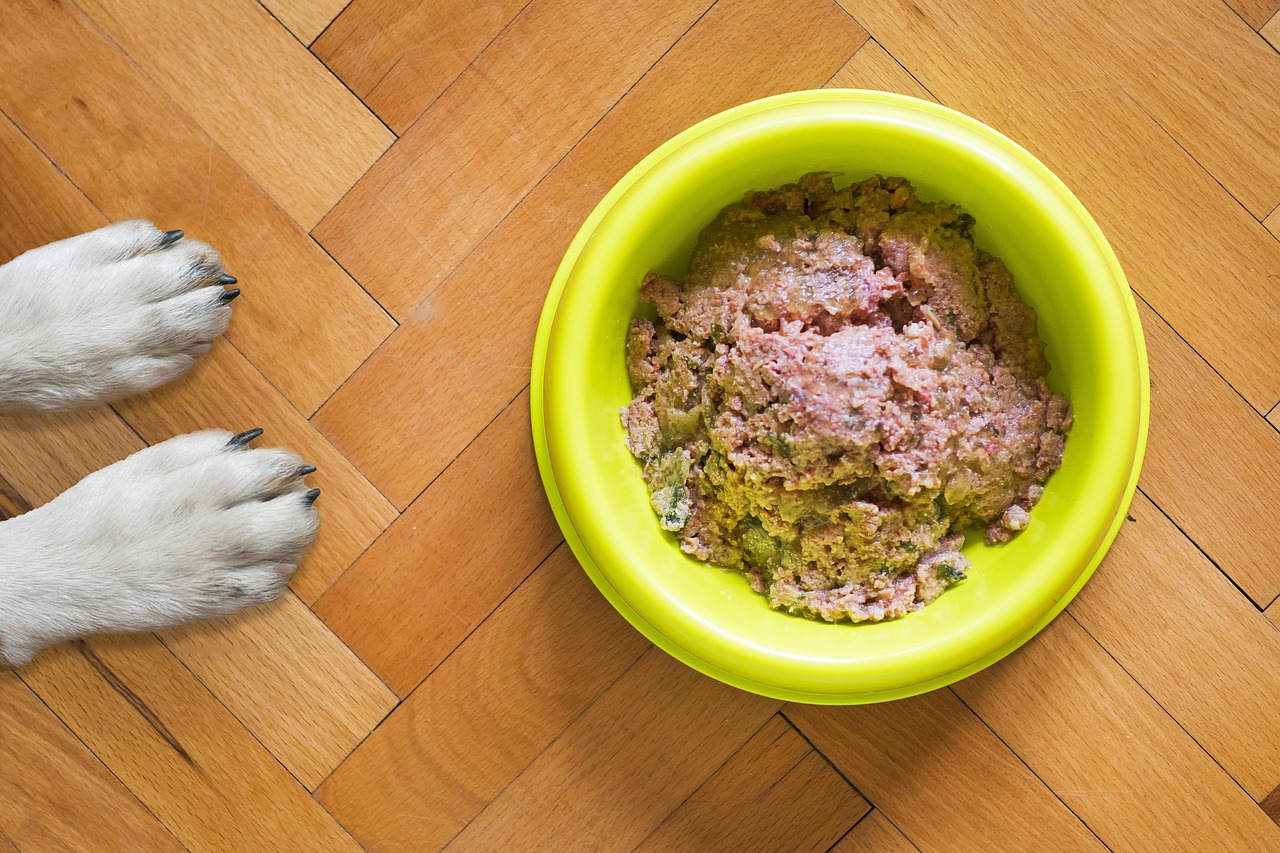 Mixed wet and dry dog food in a bowl - a budget-friendly feeding option