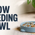 slow feeding bowl