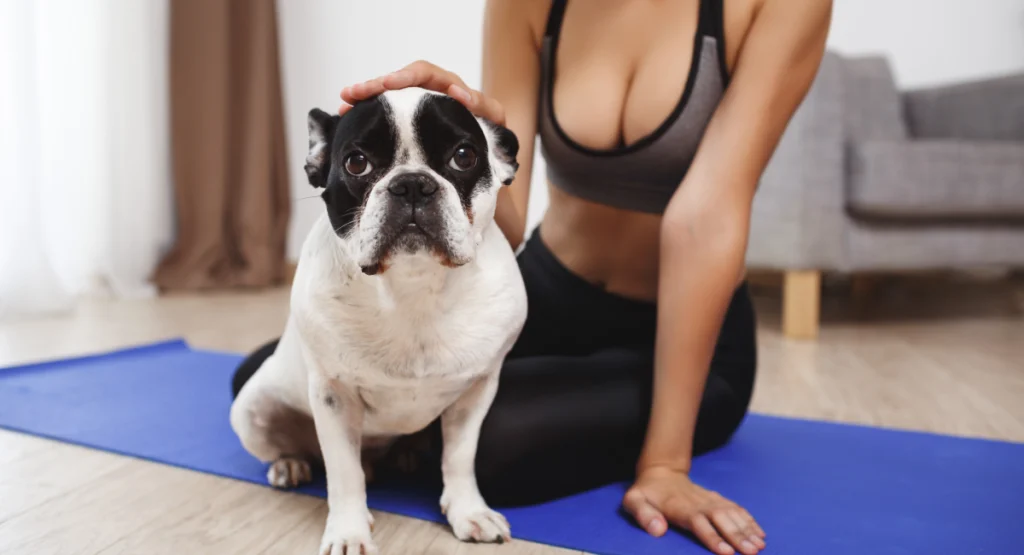 best budget friendly dog foods for weight loss