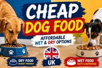 best cheap dog food uk